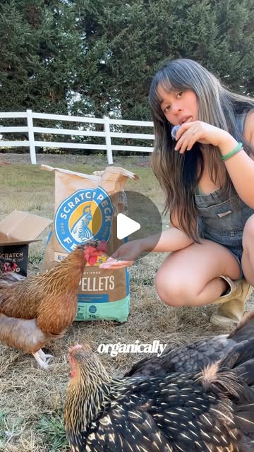 Preview of Scratch & Peck Essentials Feed Reel