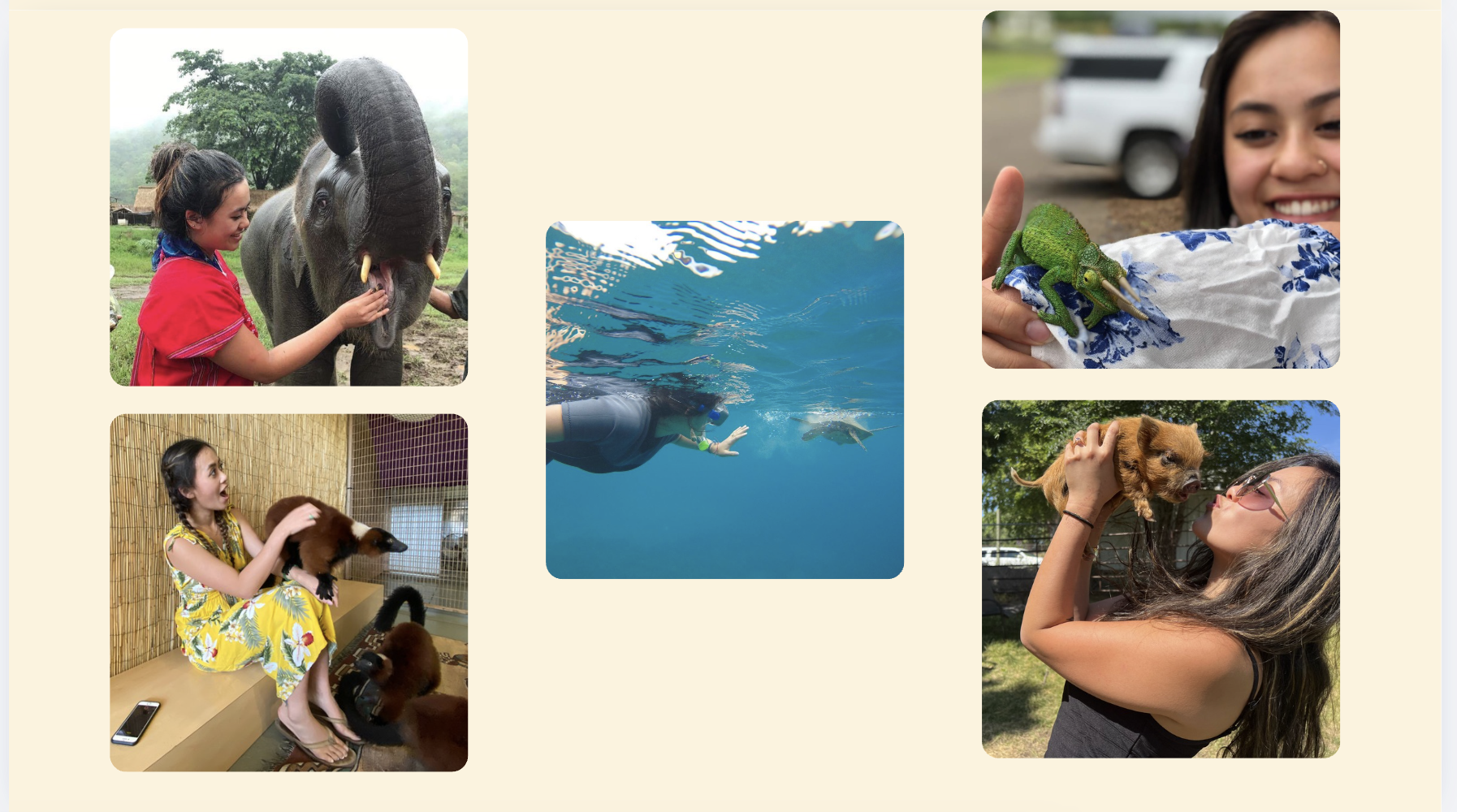 Kim spending time with an elephant